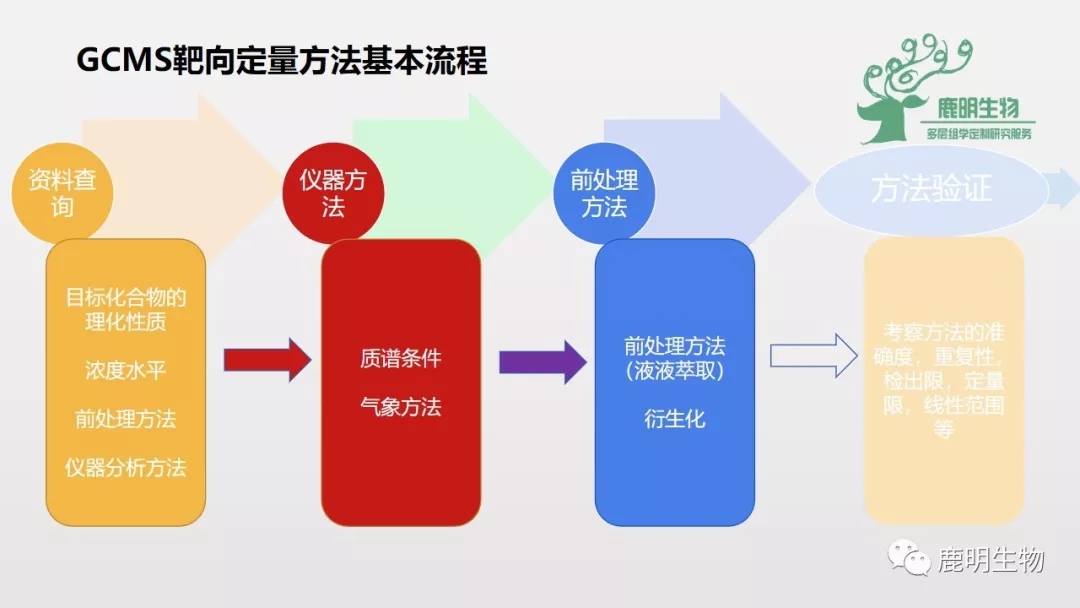 2024最新奥马资料,实地验证策略具体_传达版58.384