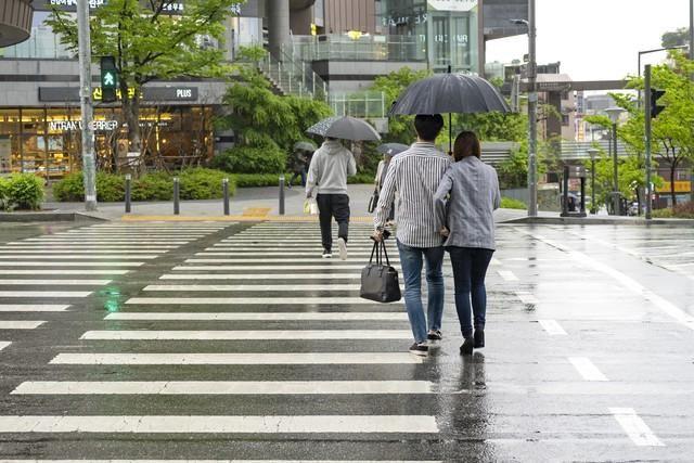 明天最新天气预报,🌦️明天最新天气预报🌥️