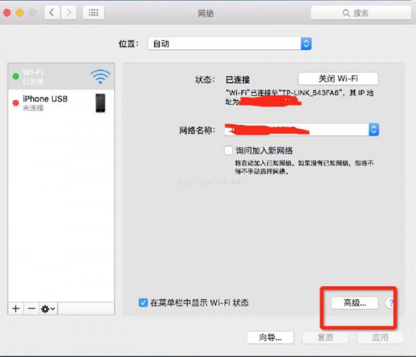 苹果最新DNS设置，提升网络体验的关键步骤